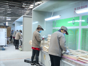 曹縣魯藝木業(yè)有限公司