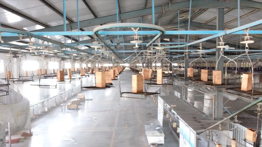 Caoxian Luyi Wood Industry Co., Ltd.